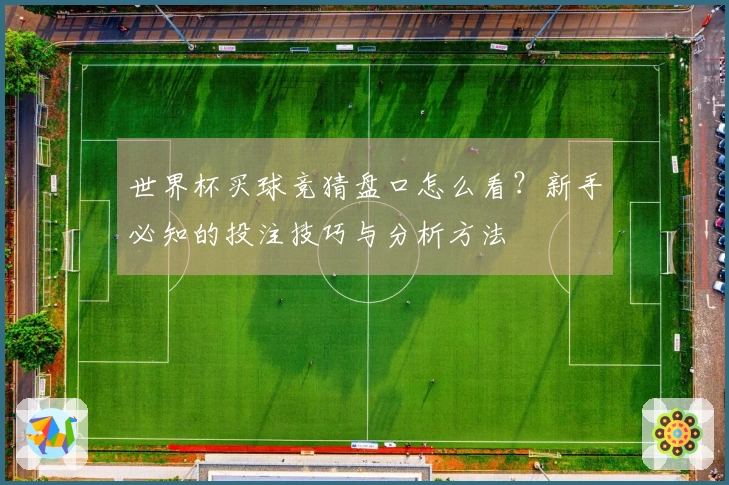 世界杯买球竞猜盘口怎么看？新手必知的投注技巧与分析方法