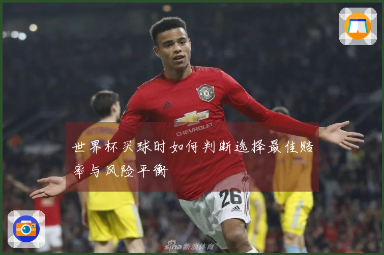 世界杯买球时如何判断选择最佳赔率与风险平衡