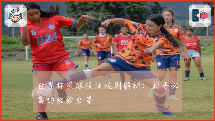 世界杯买球投注规则解析：新手必备的经验分享