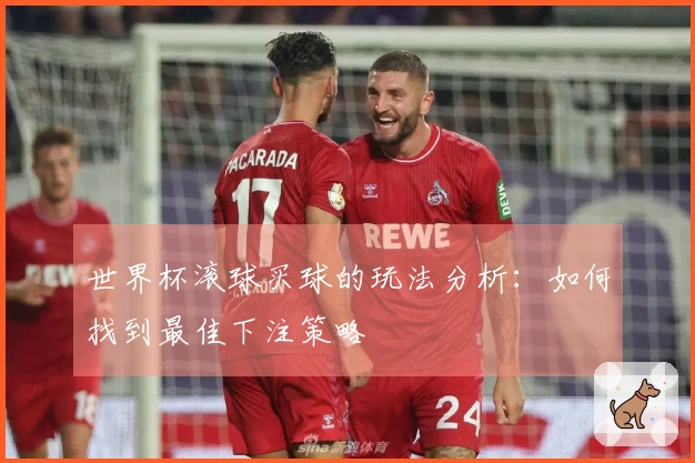 世界杯滚球买球的玩法分析：如何找到最佳下注策略