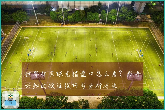 世界杯买球竞猜盘口怎么看？新手必知的投注技巧与分析方法