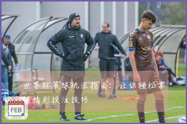 世界杯滚球玩法指南:让你轻松掌握精彩投注技巧