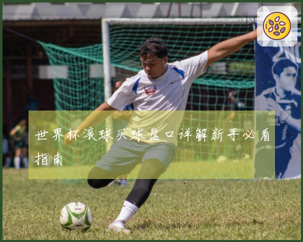 世界杯滚球买球盘口详解新手必看指南
