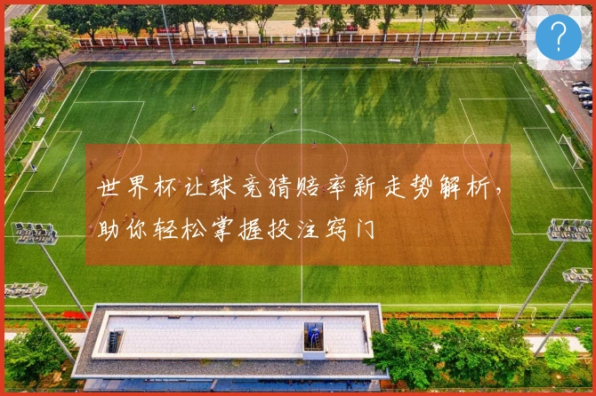世界杯让球竞猜赔率新走势解析，助你轻松掌握投注窍门