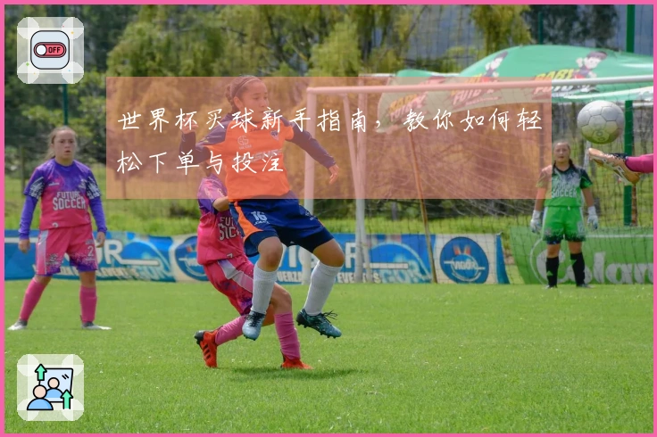 世界杯买球新手指南，教你如何轻松下单与投注