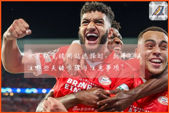 世界杯竞猜网站选择时，新手应关注哪些关键步骤与注意事项？
