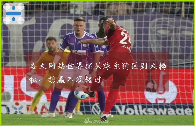 各大网站世界杯买球竞猜区别大揭秘，想赢不容错过