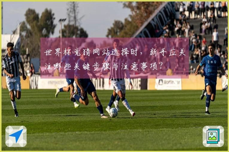 世界杯竞猜网站选择时，新手应关注哪些关键步骤与注意事项？