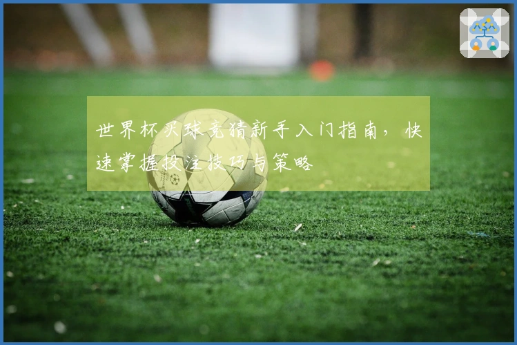 世界杯买球竞猜新手入门指南，快速掌握投注技巧与策略