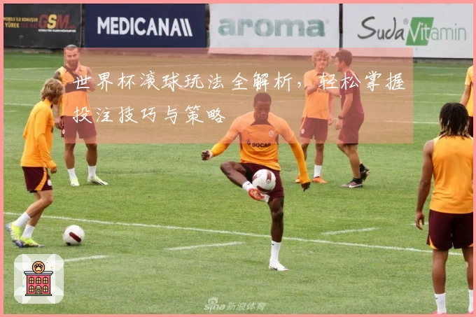 世界杯滚球玩法全解析，轻松掌握投注技巧与策略